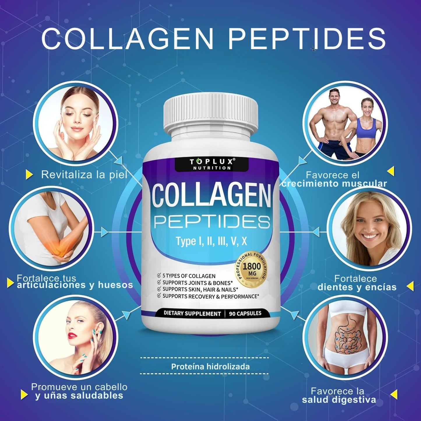 Péptidos de colágeno Toplux®